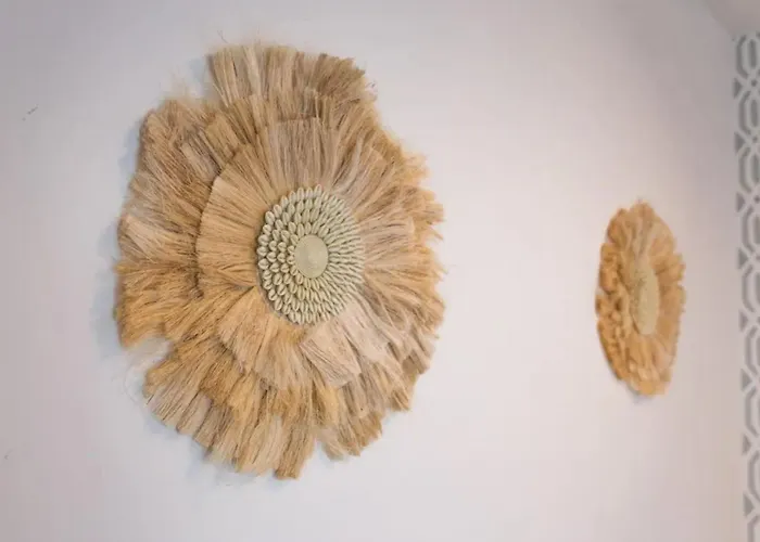 Flores De Clavel 4 Cordoba